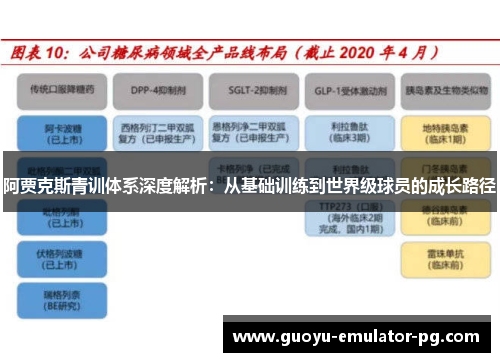 阿贾克斯青训体系深度解析:从基础训练到世界级球员的成长路径 阿贾克斯青训体系深度解析:从基础训练到世界级球员的成长路径