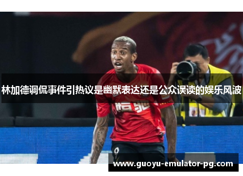 林加德调侃事件引热议是幽默表达还是公众误读的娱乐风波