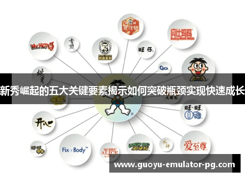 新秀崛起的五大关键要素揭示如何突破瓶颈实现快速成长